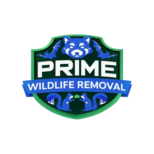 Wildlife Removal Solon